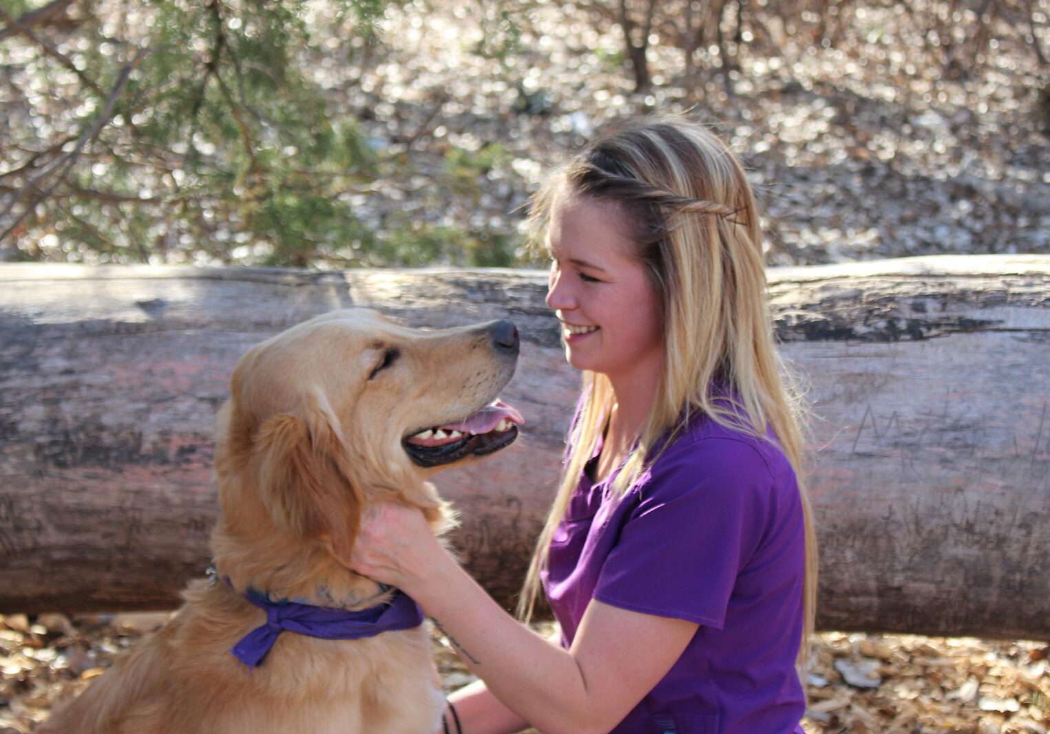 Tech With Smiling Golden Retriever